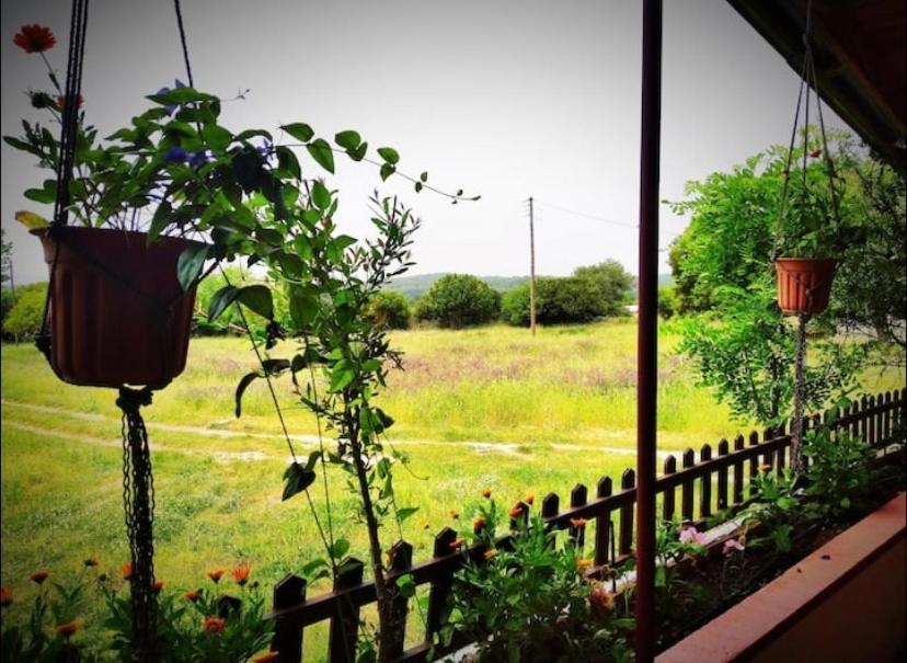 The Happy Cottage Ioannina Exterior photo